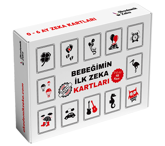 Bebeğimin Zeka Kartları 0-6 Ay