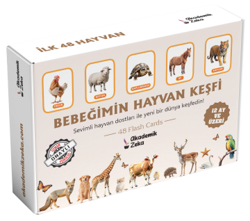 Bebeğimin Hayvan Keşfi 12 Ay ve Üzeri