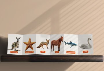 Bebeğimin Hayvan Keşfi 12 Ay ve Üzeri