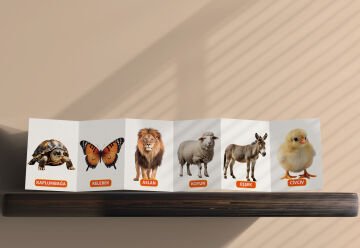 Bebeğimin Hayvan Keşfi 12 Ay ve Üzeri