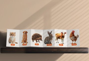 Bebeğimin Hayvan Keşfi 12 Ay ve Üzeri