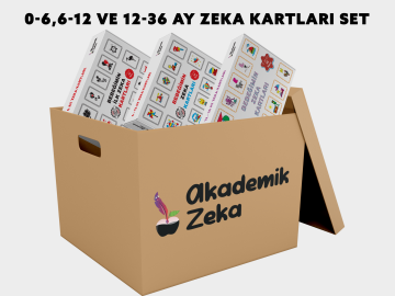 0-6, 6-12, 12-36 Ay Zeka Kartları Set