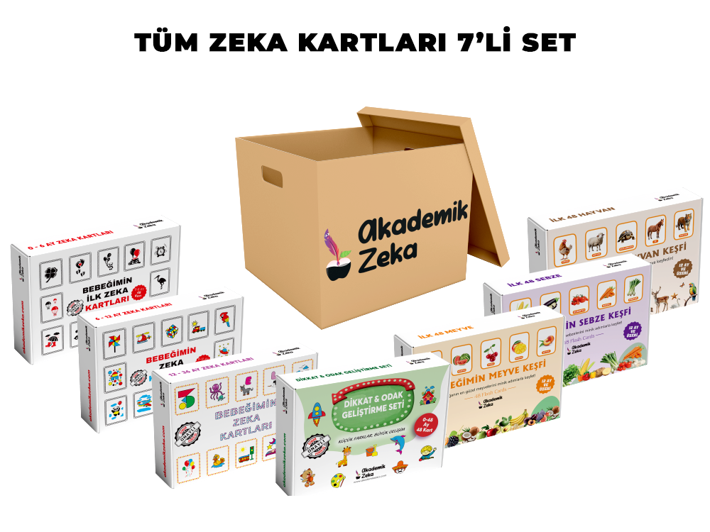 Tüm Zeka Kartları 7'li Set