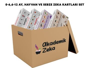 0-6 + 6-12 + Hayvan + Sebze Zeka Kartları Set