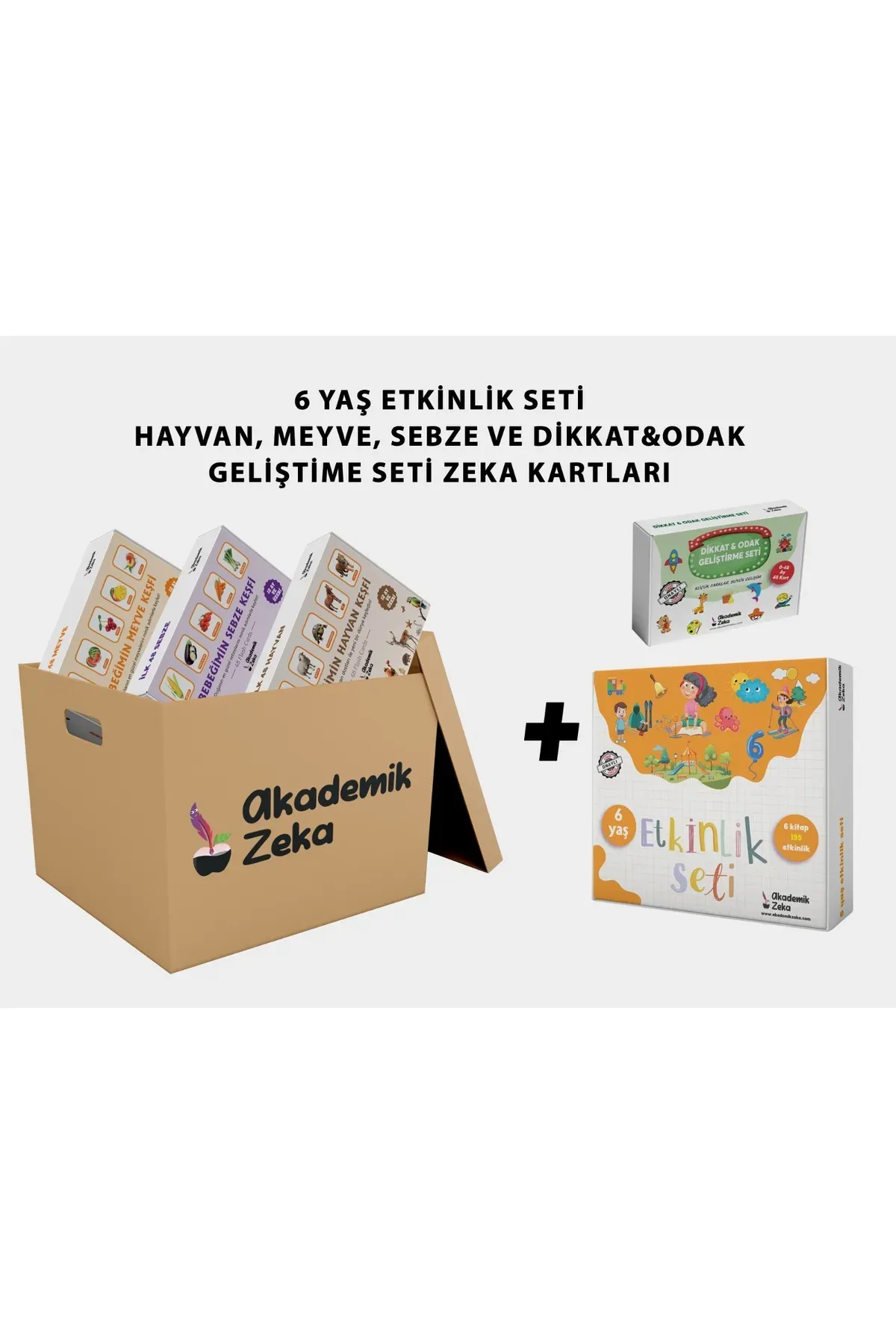 6 Yaş Etkinlik Seti ve Hayvan, Meyve, Sebze, Dikkat & Odak Geliştirm zeka Kartları